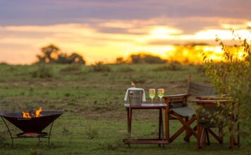 What to Wear on Safari Evenings sundowner