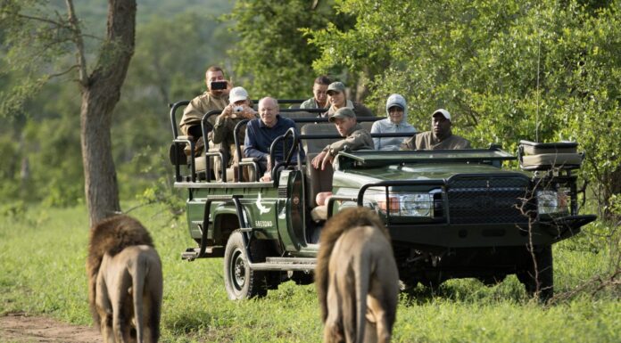 How many Days On Safari Is Enough? Tourists on a game drive