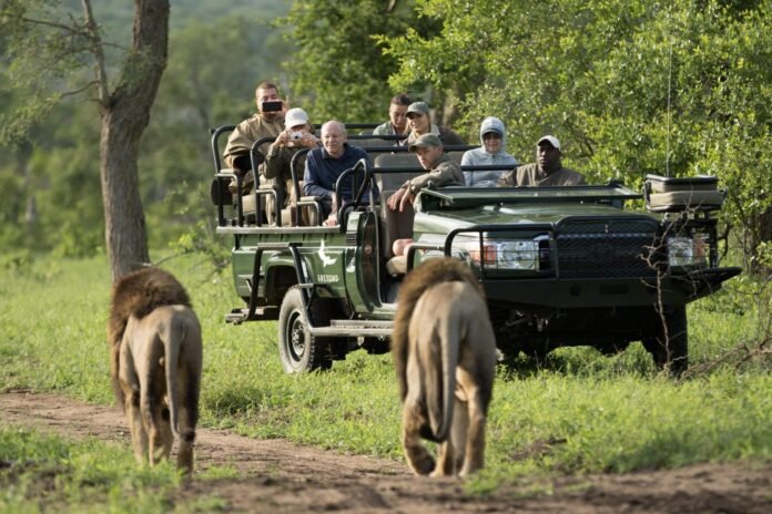 tourists on safari Tourists on a game drive