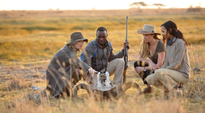 How To Book Safaris In Kenya? Tourists On a Kenya Safari Walking
