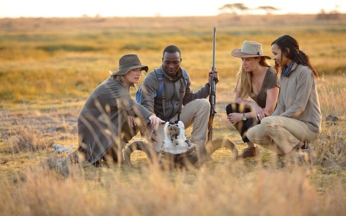 tourists on a Kenya safari Tourists On a Kenya Safari Walking