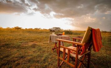 Safari Sundowner in Kenya: A Magical Experience in the Wild A Kenya safari sundowner