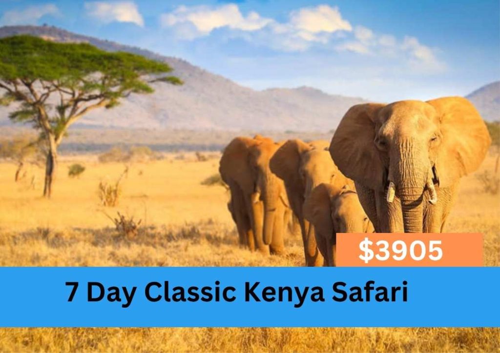 7 day calssic kenya safari