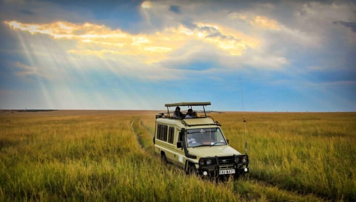A safari vehicle on a game drive on Kenya's parks