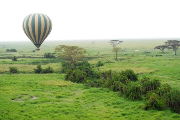 balloon-75883_1280 balloon safari