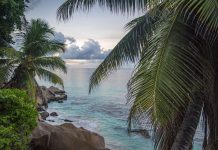 Kenya Seychelles Safari A Seychelles Holiday