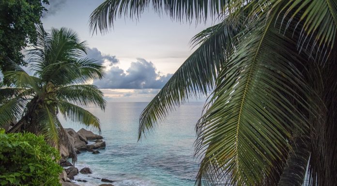Kenya Seychelles Safari A Seychelles Holiday