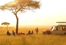 How to Get to the Masai Mara in Kenya tourists on a masai mara game drive