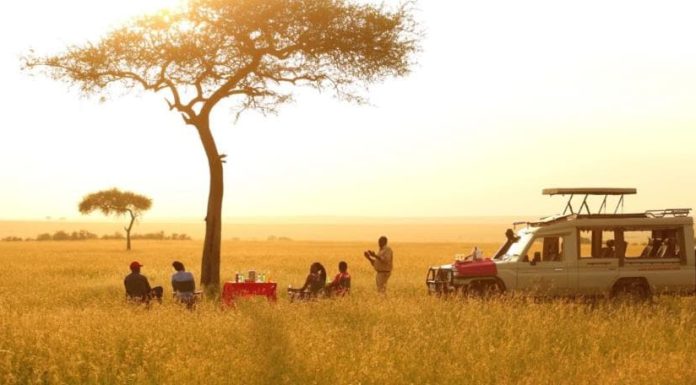 How to Get to the Masai Mara in Kenya tourists on a masai mara game drive
