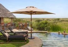 How to Get to Masai Mara from Chicago (Complete Safari Guide for U.S. Travelers)