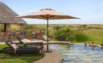 How to Get to Masai Mara from Chicago (Complete Safari Guide for U.S. Travelers)