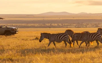 How to Get to Masai Mara from London
