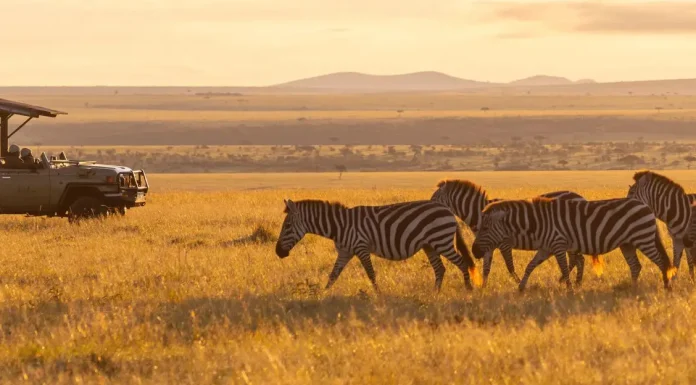 How to Get to Masai Mara from London