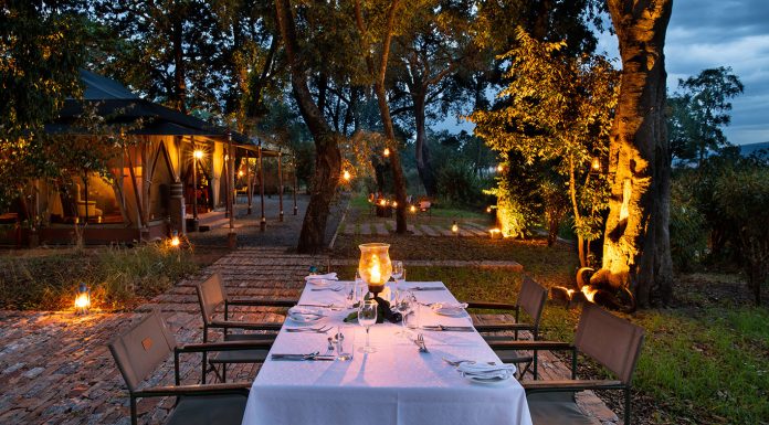 How to Get from Cape Town to Masai Mara