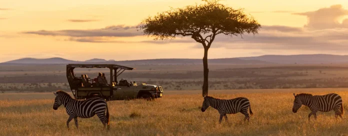 Naboisho sunset game drive