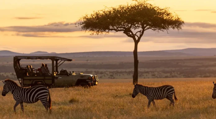 How to Reach the Masai Mara from Toronto, Canada Naboisho sunset game drive