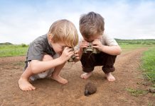 Which Safari Is Best for Kids? A Complete Guide to Family Safaris in Kenya kids on safari