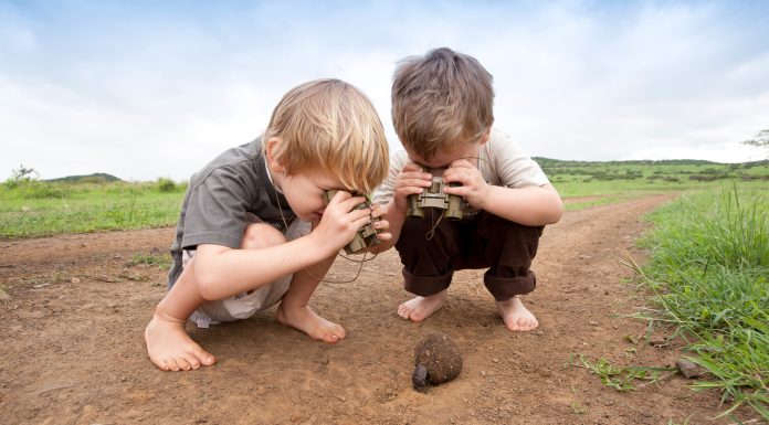 Which Safari Is Best for Kids? A Complete Guide to Family Safaris in Kenya kids on safari