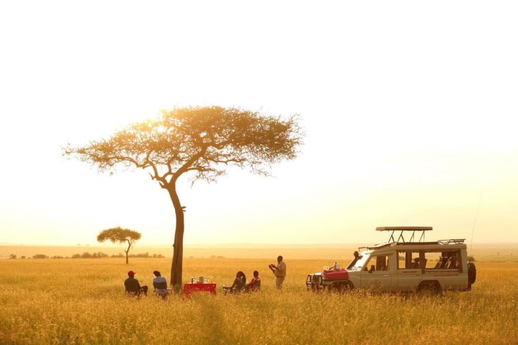 kenya safari itinerary