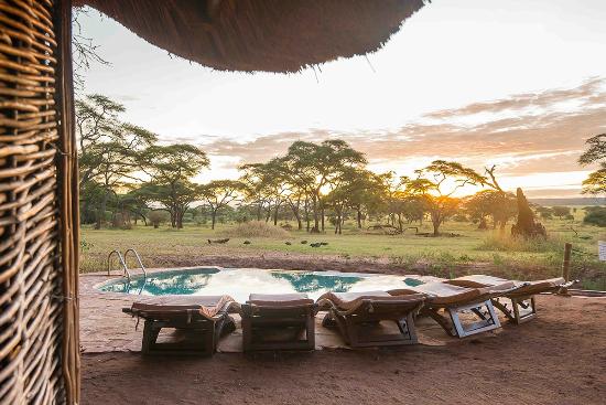 Swala | Rates & Prices | Safari Travel Plus