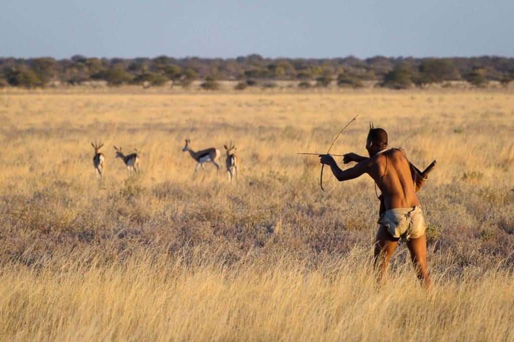 Kalahari Desert Safari Safaris Cost & Prices Holidays Vacation Package