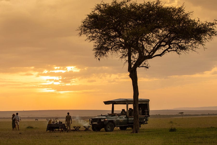 Masai Mara sundowner